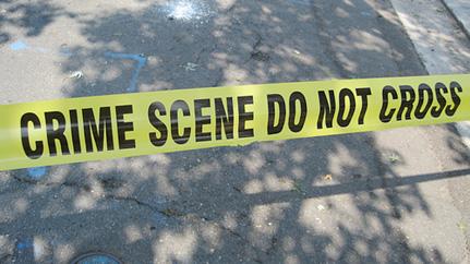 What’s Wrong With Predators Nowadays? Image